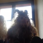 phoca_thumb_m_zmek kunn 188 Fotogalerie